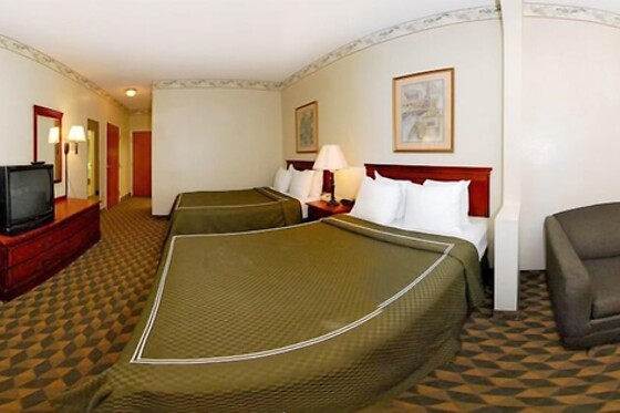 Online Booking EPS - photo 1