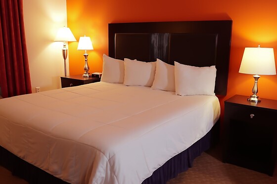 Online Booking EPS - photo 0
