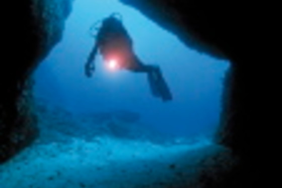 SCUBA PLUS - photo 1
