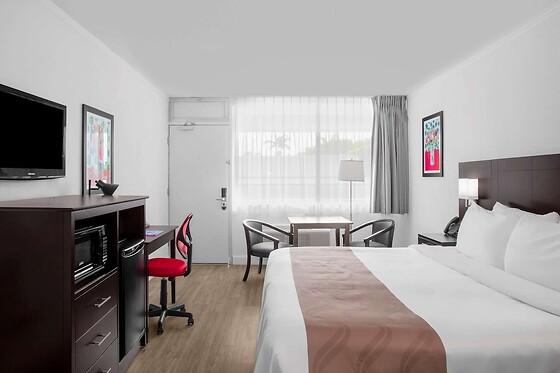 Online Booking EPS - photo 6