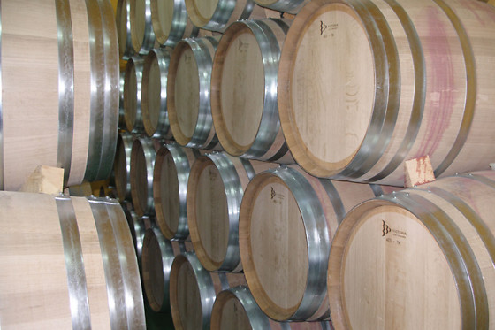 BODEGA CAMPOS DE DULCINEA - photo 2