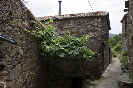 CASA DA URZE - photo 7