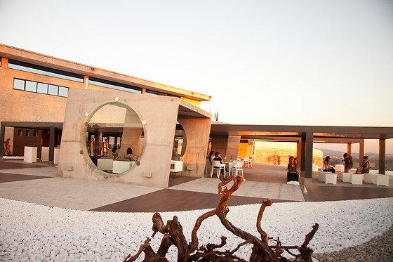 BODEGAS MARTÍN CÓDAX - photo 1