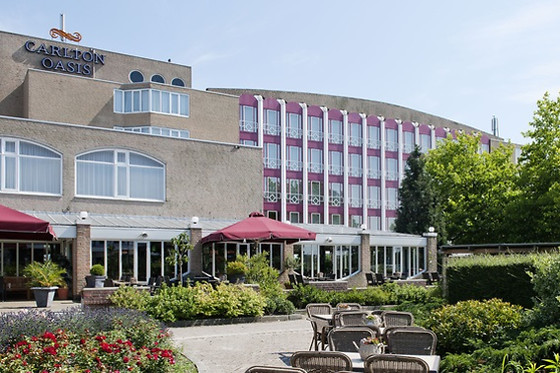 Carlton Oasis Hotel - photo 3
