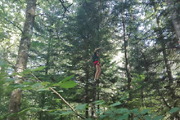 Rénac Aventure
