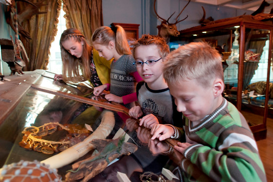 Natuur Museum Fryslân - photo 2