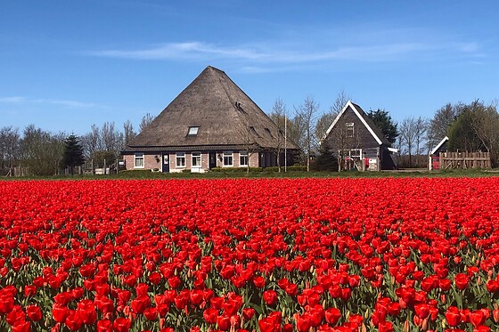 Idylle Aan Zee - photo 2