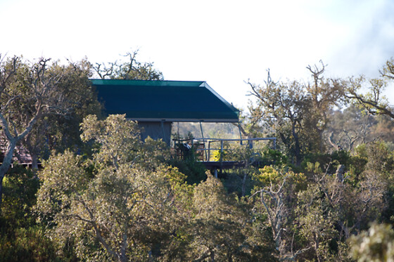 Portugal Nature Lodge - photo 13