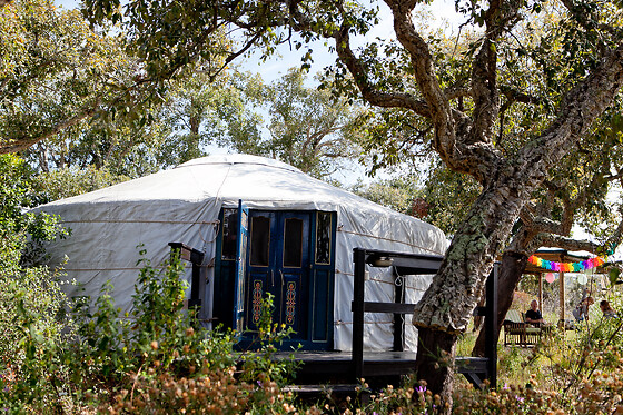 Portugal Nature Lodge - photo 10