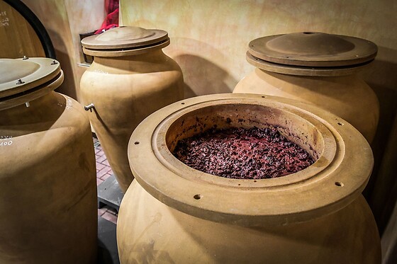 Azienda Agricola Mizzon - photo 4