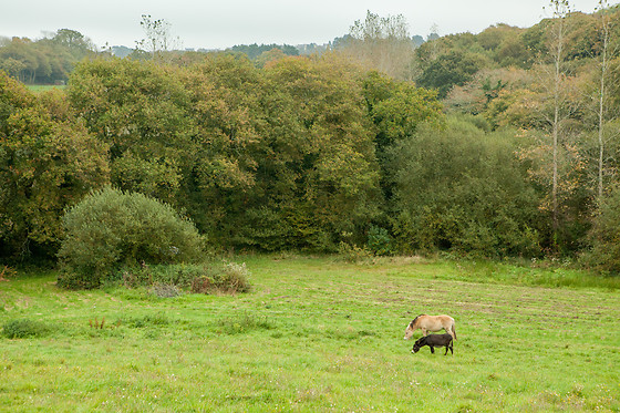 Le Bonheur Côté Pré - photo 8