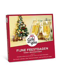 Fijne Feestdagen