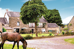 Le domaine du clyo