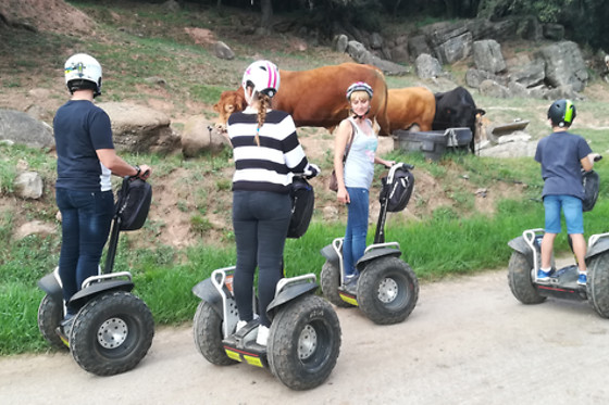 NATURATOURS - photo 4