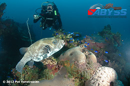 Abyss Underwater World Explorers