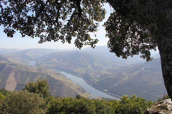 MANOS DO DOURO - photo 7