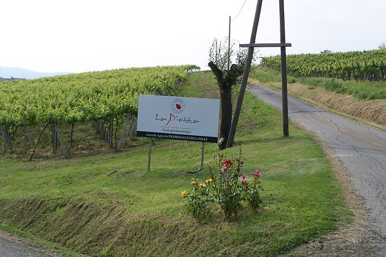 Azienda Agricola La Piotta - photo 3