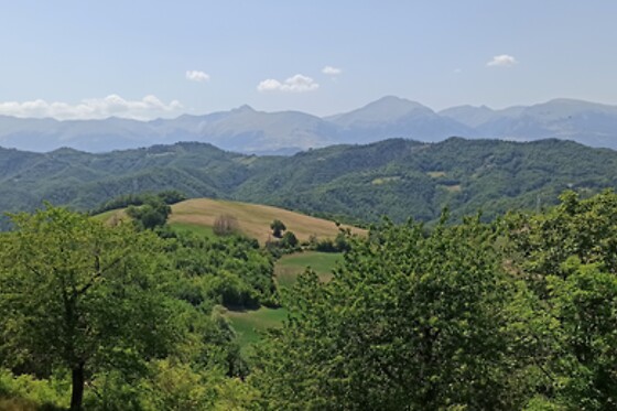 Saecula Natural Village - photo 4