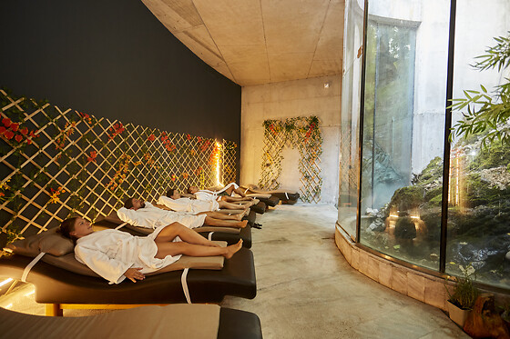 HOTEL RESORT BALNEARIO DE PANTICOSA - photo 36