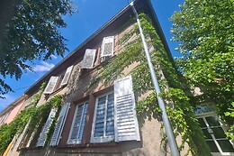 Le Souffle du Saule