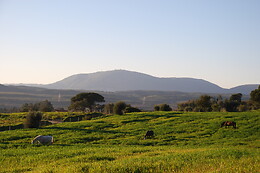 PICADEIRO QUINTA DO VALE