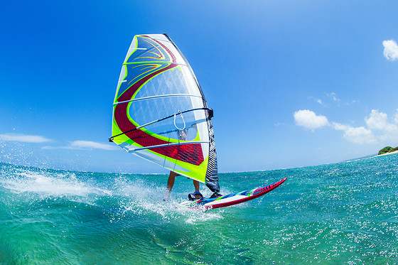 WINDISCOVERY - photo 17