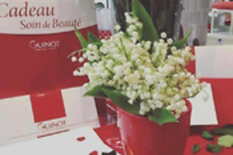 Ingrid Beauté