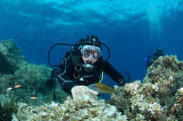 BINIBECA DIVING MENORCA
