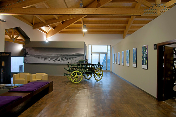 BODEGAS LUZON - photo 8