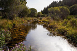 Café & Restaurant Le Pont de la Loire