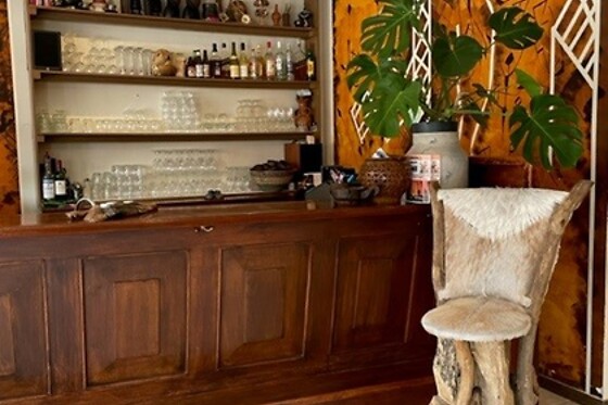 Afrikaans restaurant Seni - photo 2