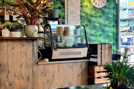 Yemayá’s Vegan Corner - photo 3