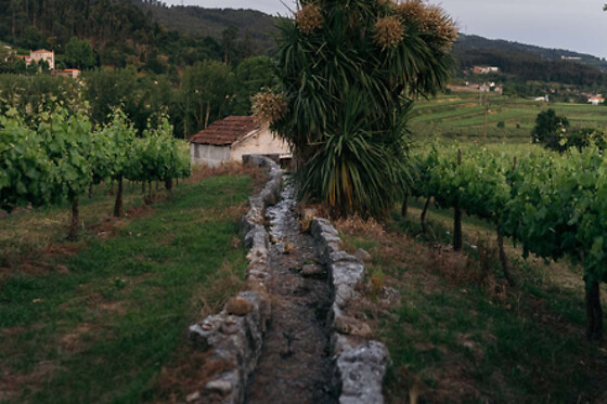 Quinta da Corredoura - Hotel Rural - photo 10