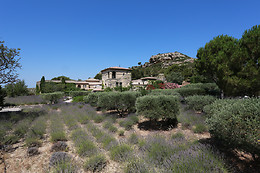 Garrigae L' Abbaye de Sainte Croix