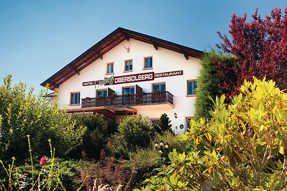 Auberge Obersolberg - photo 19