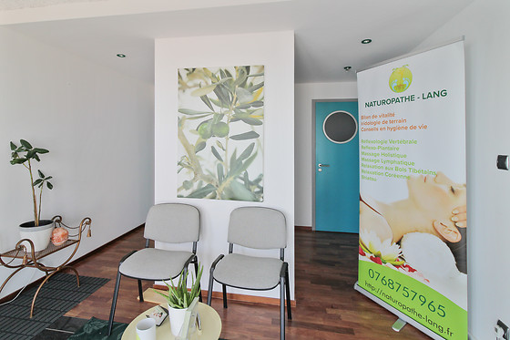 naturopathe-lang - photo 11