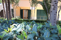 DESSENZA - Estetica & Benessere