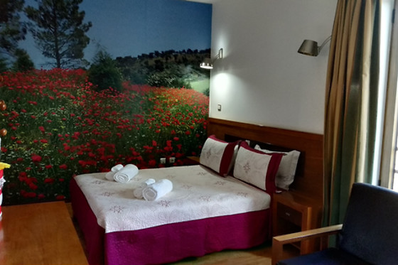 Hotel Rural Senhora de Pereiras - photo 1
